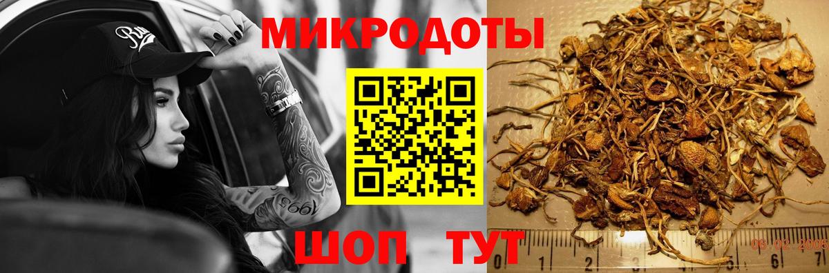 Псилоцибиновые грибы Magic Shrooms  Вход с VPN  Химки 